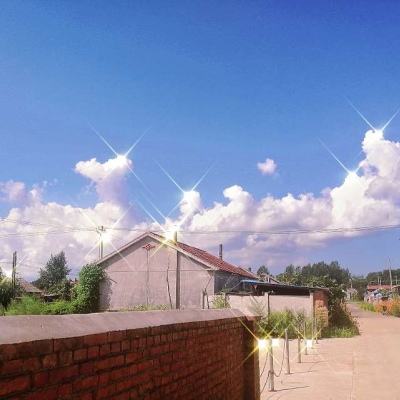 武林秘籍游戏下载